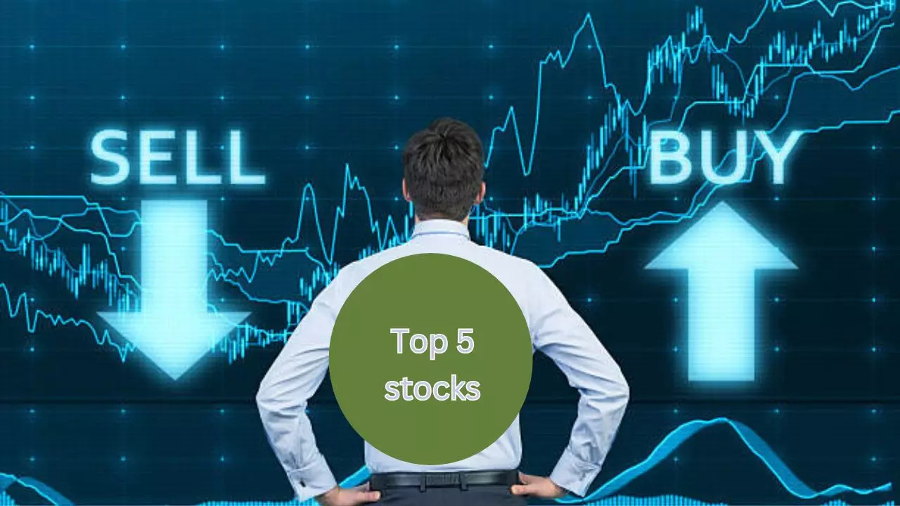 Shree Rama Newsprint Share Return