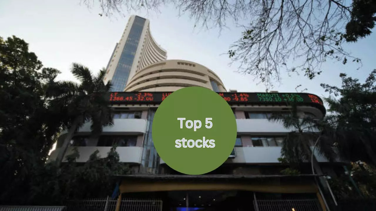 CHD Chemicals Share Return