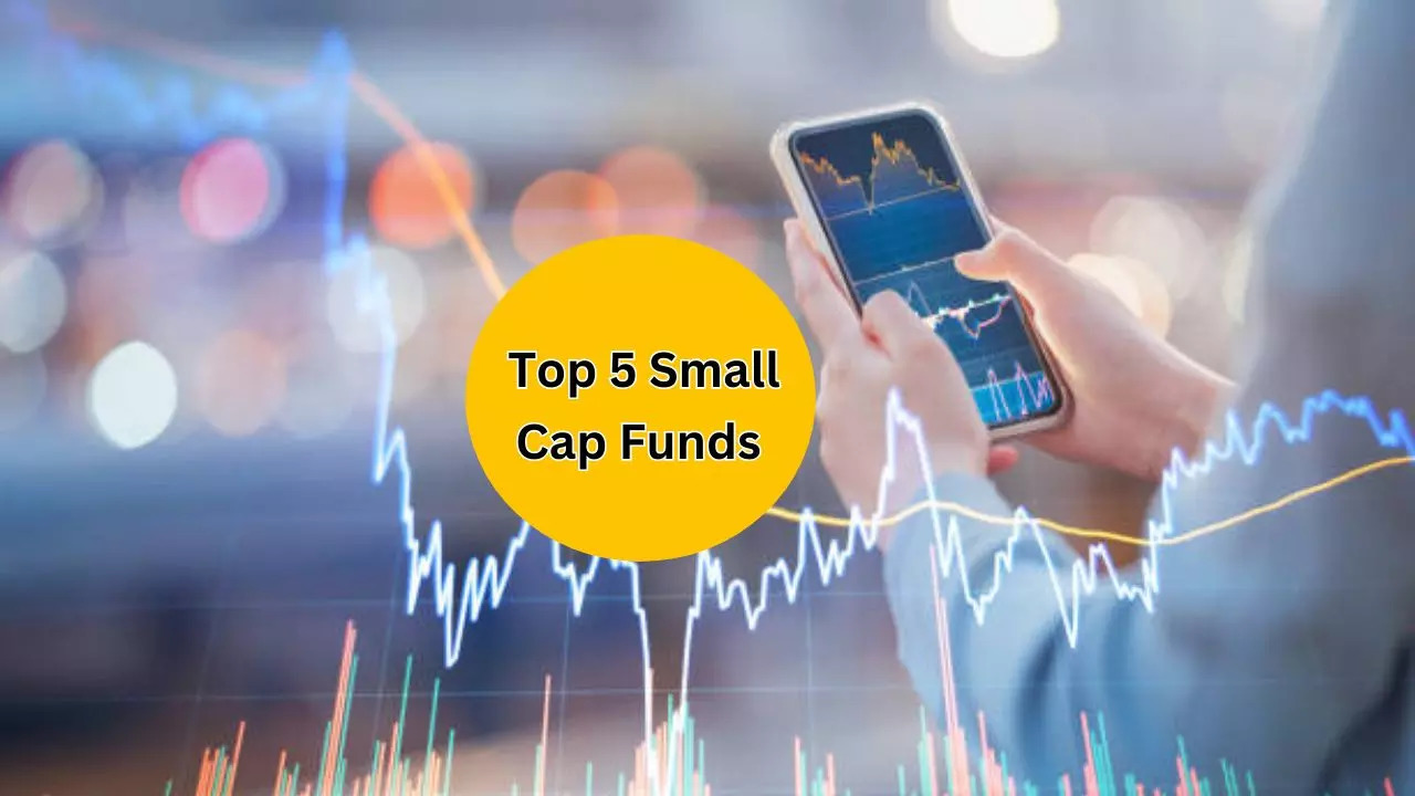 Return of SBI Small Cap Fund