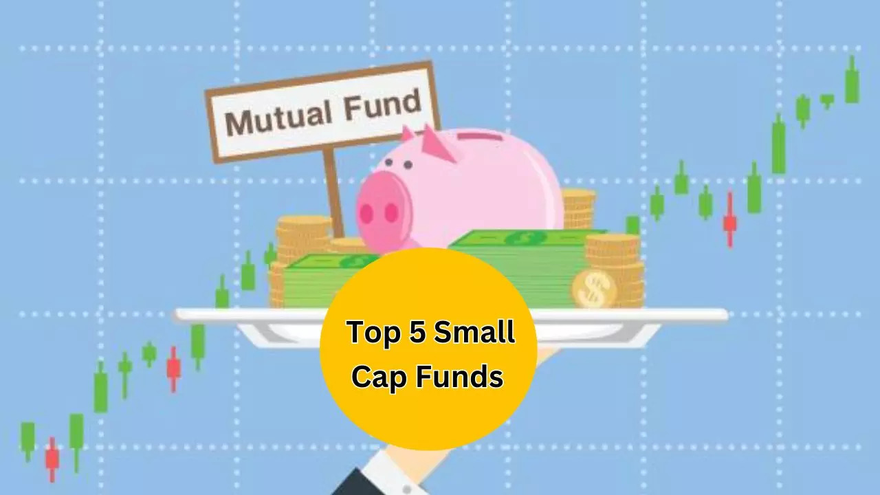 Return of Quant Small Cap Fund