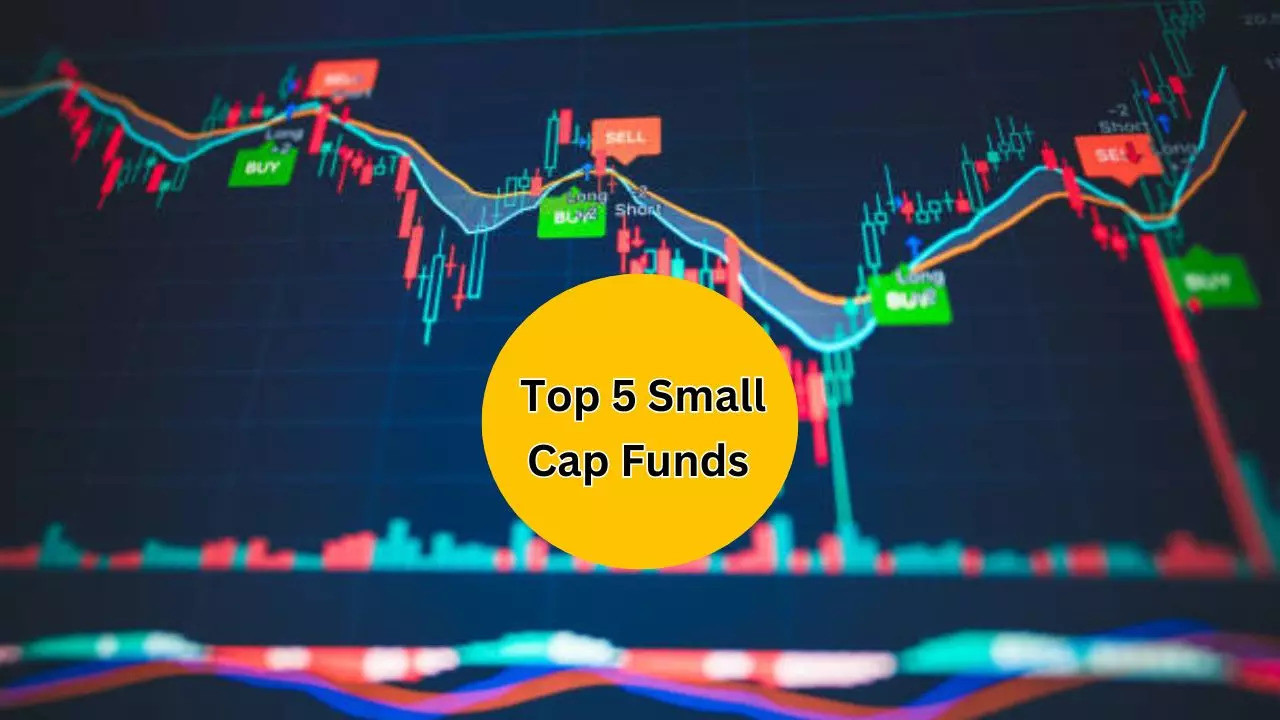 Return of Nippon India Small Cap Fund