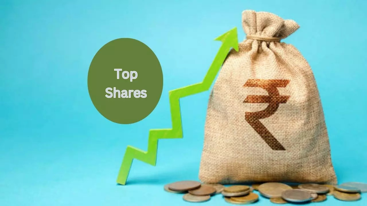 Safa Systems  Technologies Share Returns