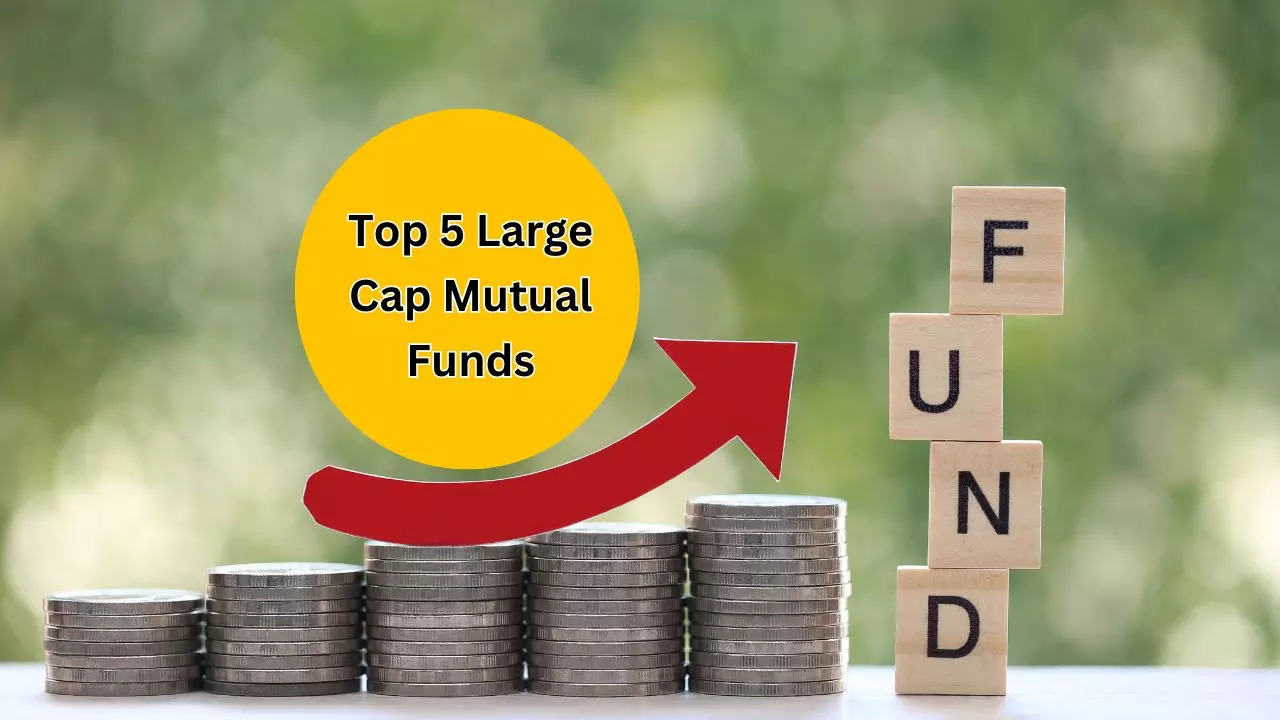 HDFC Large Cap Fund Returns