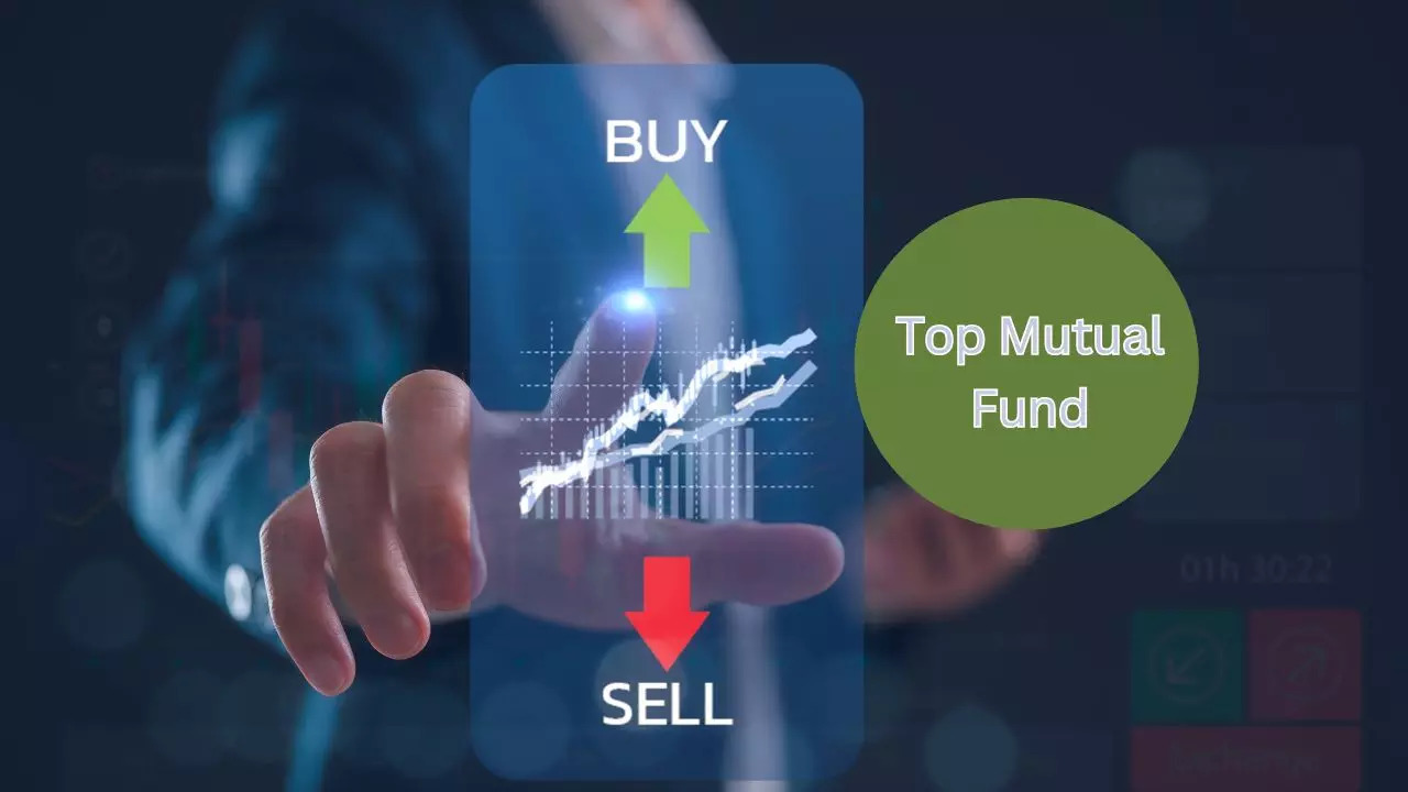 Triumph International Finance Share Returns