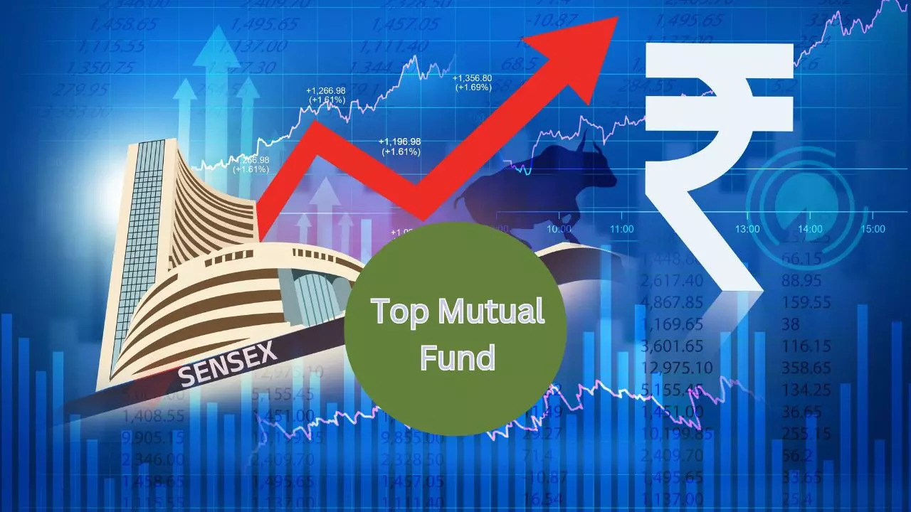 Sikozy Realtors Share Returns