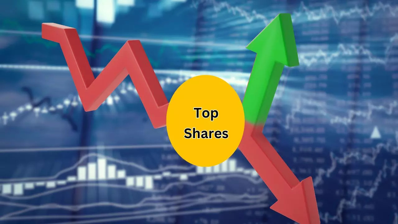 Norben Tea  Exports Share Returns