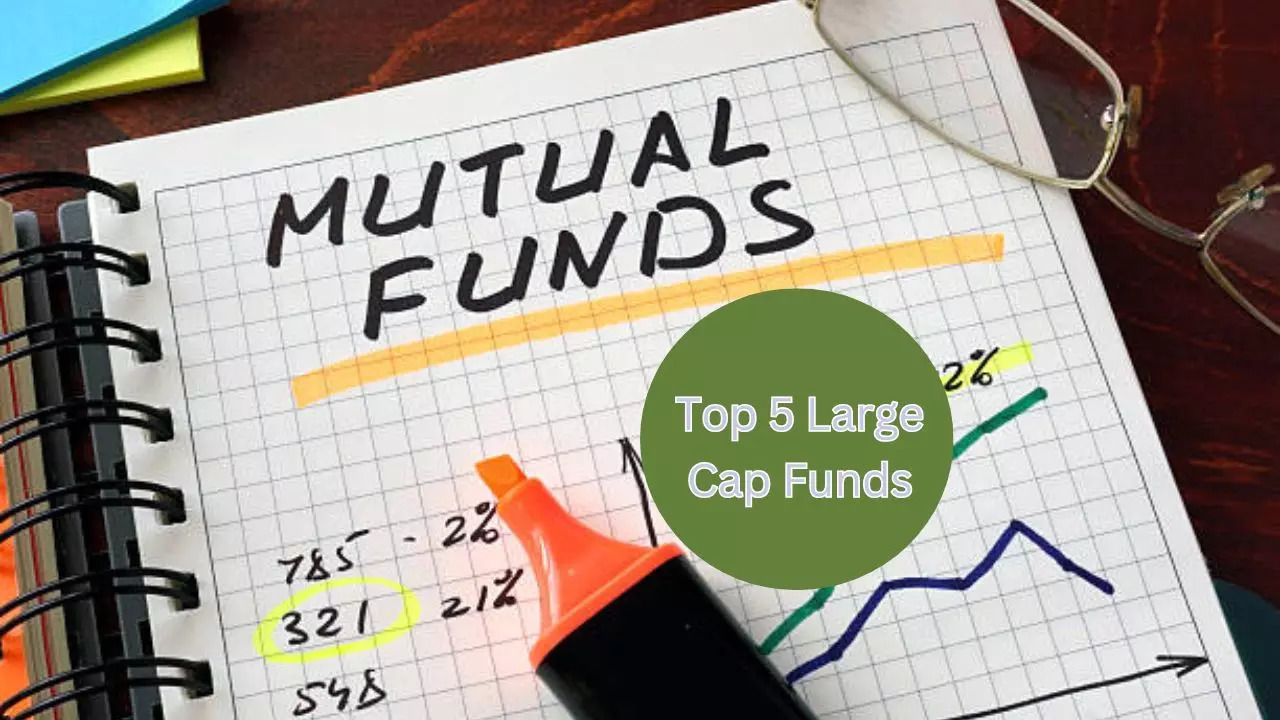 Return of HDFC Large Cap Fund