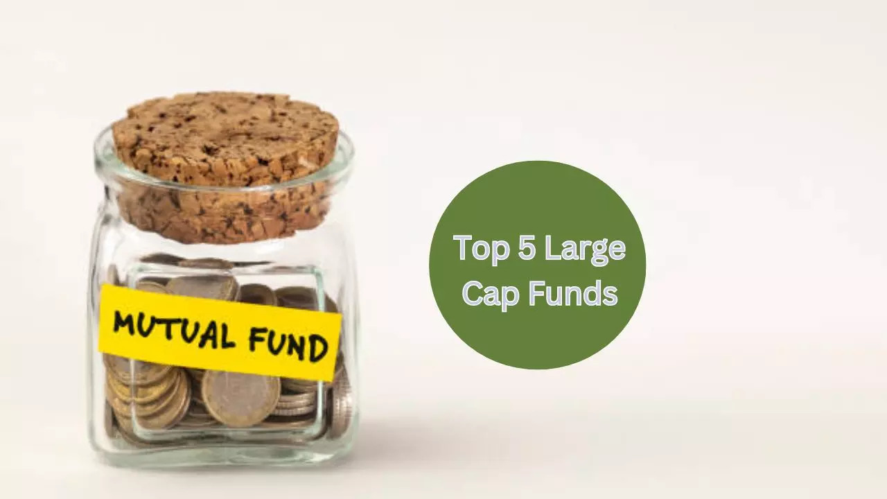 Return of DSP Top 100 Equity Fund