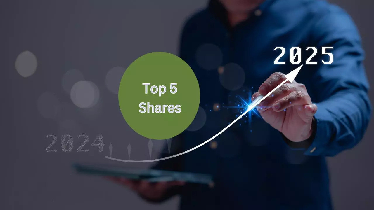 NACL Industries Share Returns