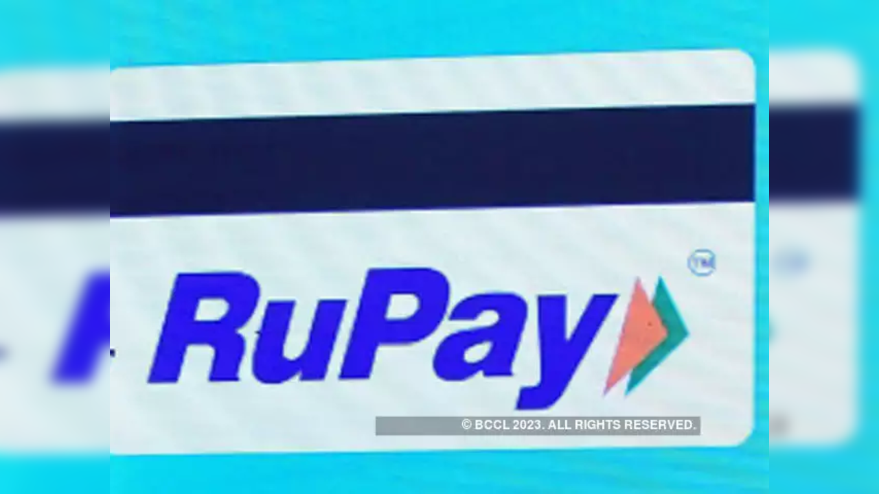 AU Small Finance Bank launches RuPay credit card for self-employed  customers - The Hindu BusinessLine