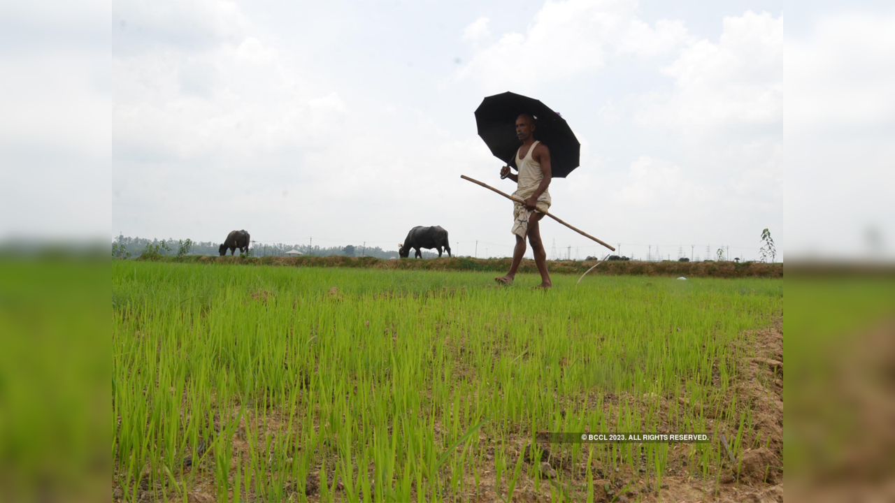 PM Kisan Samman Nidhi Yojana: More Than Rs 2.42 Lakh Crore Disbursed To ...