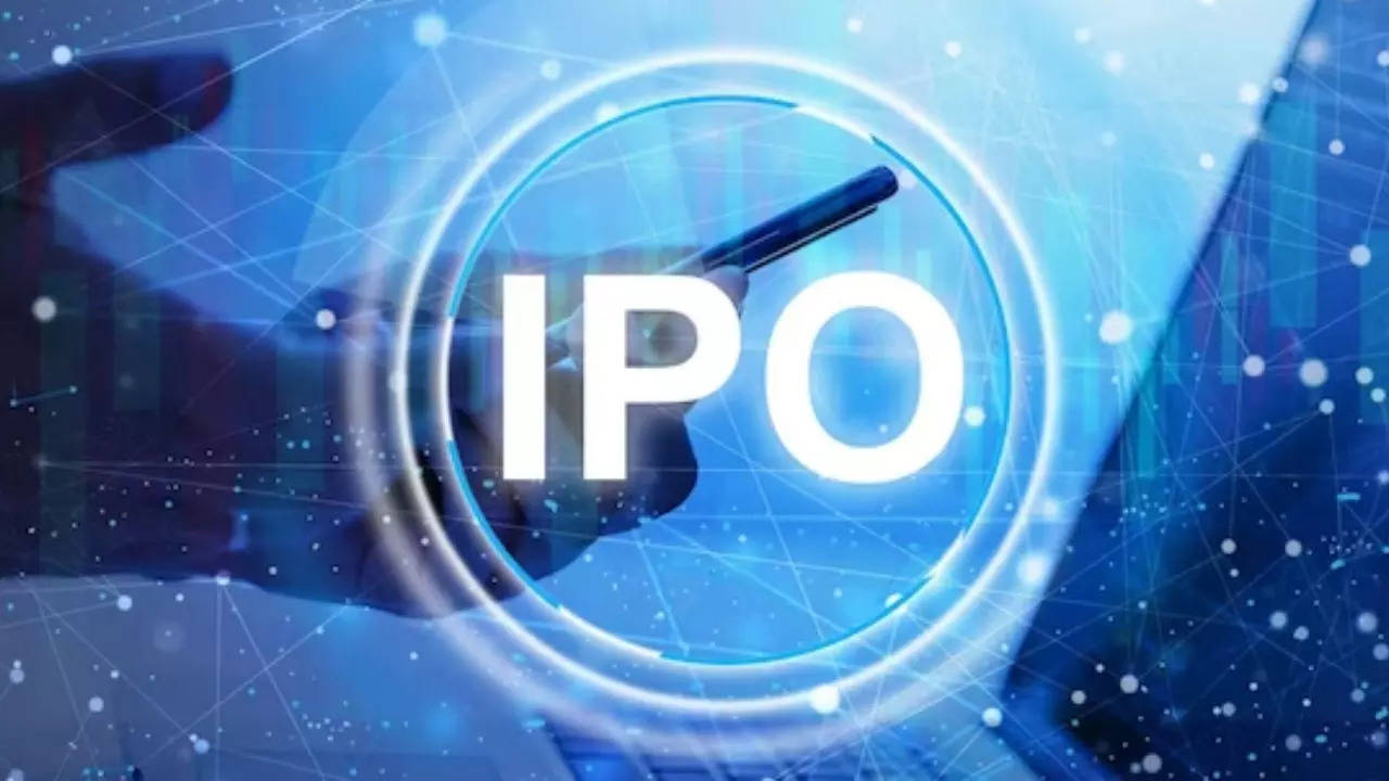 IPO allotment date, subscription status check online link and