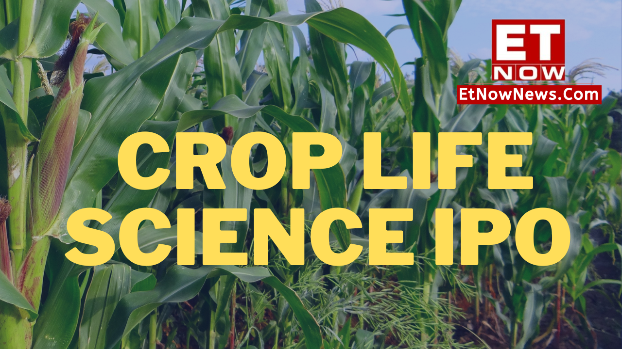 Crop Life Science Crop Life Science IPO opening today Know price band, lot size, latest GMP
