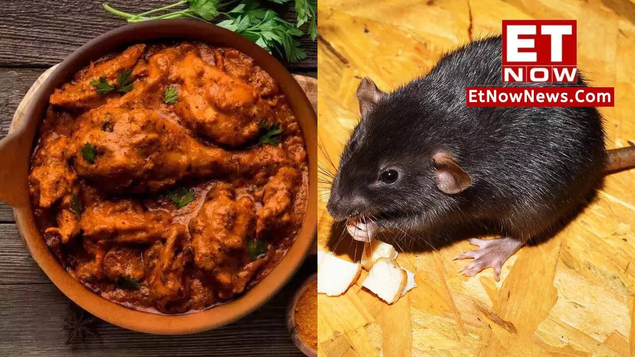 Mumbai Rat in chicken dish in popular Bandra restaurant Papa Pancho da