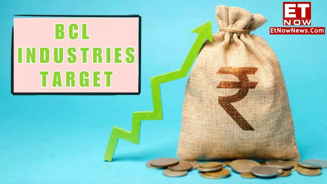 BCL Industries Share Price Target 2023, 2024: Stock Zooms 9% To Hit ...