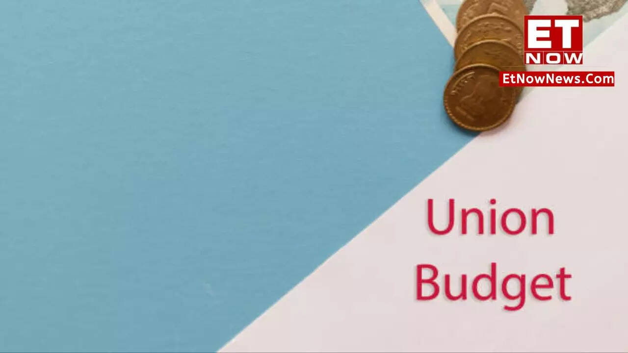 Budget 2024 EXPLAINED What does 'Interim Budget' mean? How does it