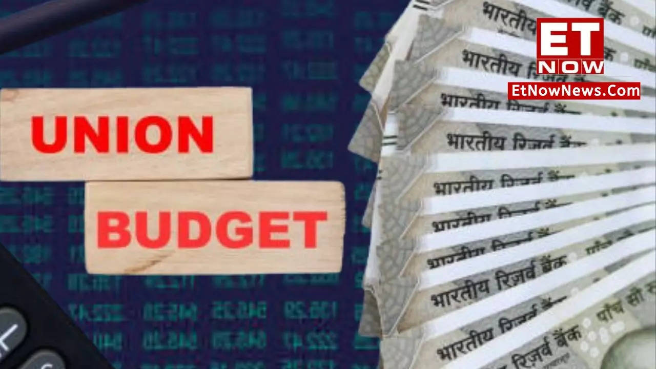 Budget 2024: Govt Likely To Bat For AI Initiative In Interim Budget ...