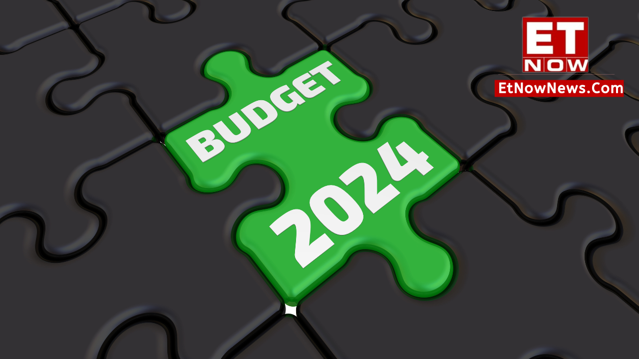 Union Budget Budget 2024 What is source of money to government for