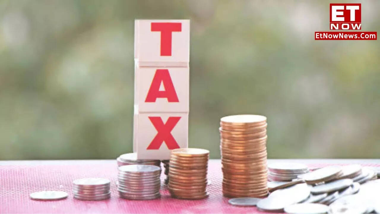 Tax, ITR Filing 2024 5 tax saving investment options under 80C