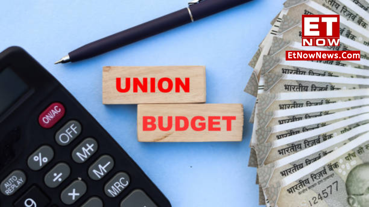 Budget Union Budget 2024 What is Budget? Know outlays vs