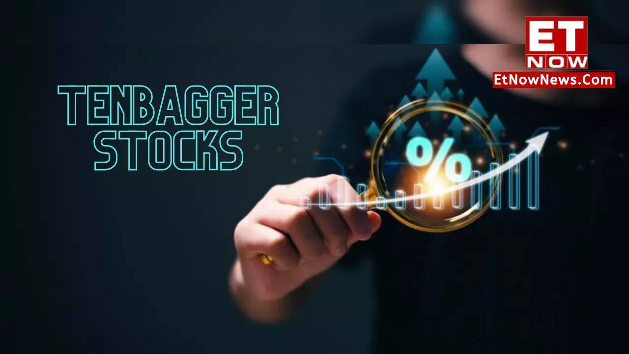 TENBAGGER stocks: What are these, how to identify to make a superstar ...