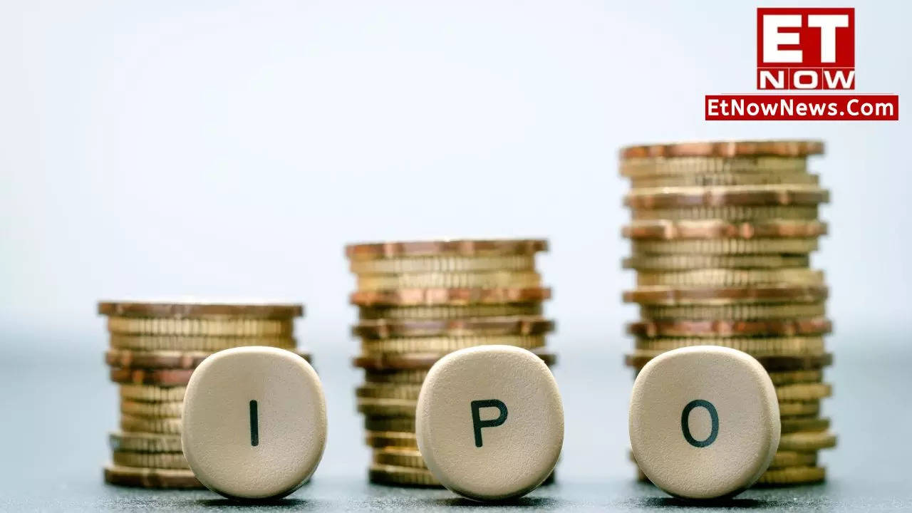 IPO Hacks 2024: Smart Tricks To Increase IPO Allotment Chances - Expert ...