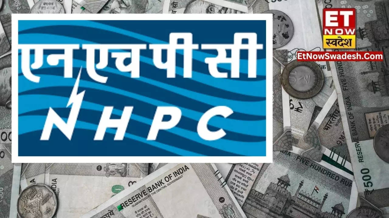 nhpc dividend 2024 record and payment date share price history view
