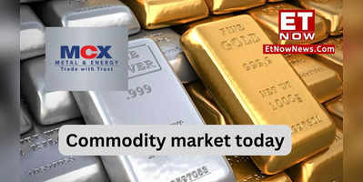 Commodity market today MCX to remain shut in morning Will