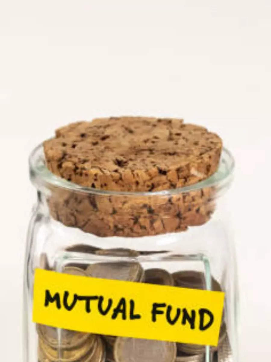 TOP performing mutual funds 2024 Over 20 RETURN! 7 best schemes