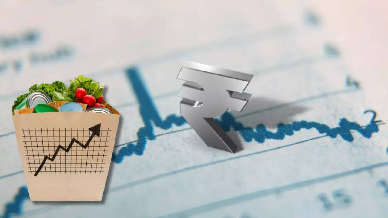 India WPI Data March 2024 Wholesale inflation rises to 0.5 Economy