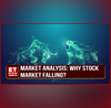 Market Analysis Of The Day  Why Market Falling  Which Stocks Are Performing In The Volatility