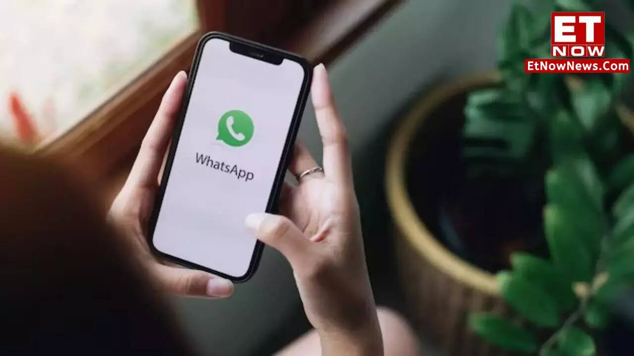 Your WhatsApp is now greener! Find out what’s changed.