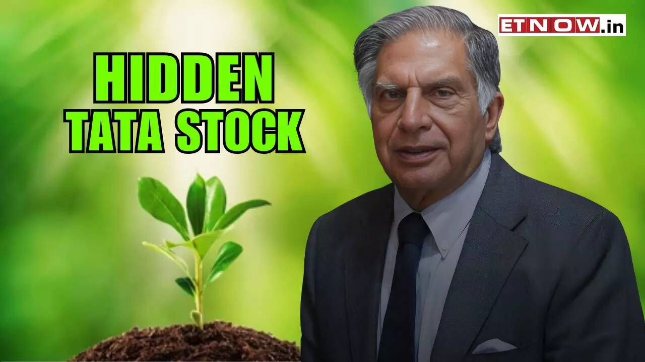 Tata Fertiliser Stock Hidden GEM! Share price below Rs 400 Markets