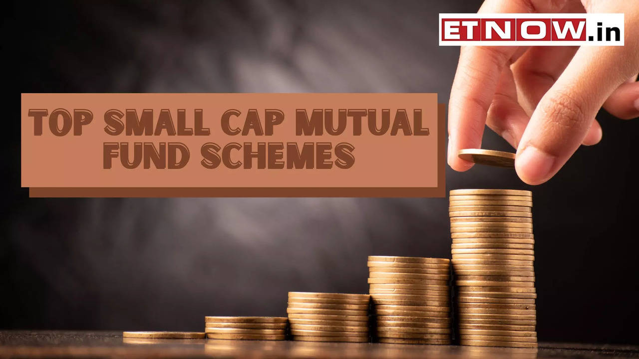 Quant in TOP 5 smallcap mutual funds to invest in 2024 30 returns in