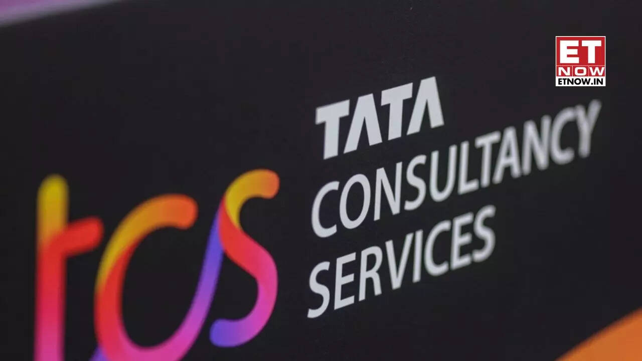 TCS hiring freshers 2024 process for recruiting through