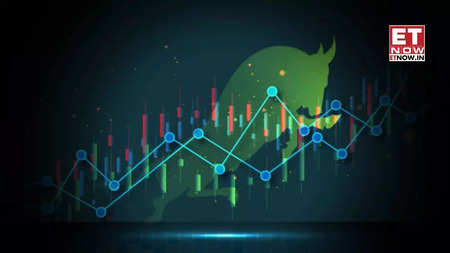 Multibagger stock return