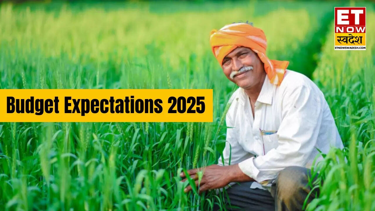 Budget Expectations 2025 किसानों को मिलेगी खुशखबरी? KCC से सस्ते लोन