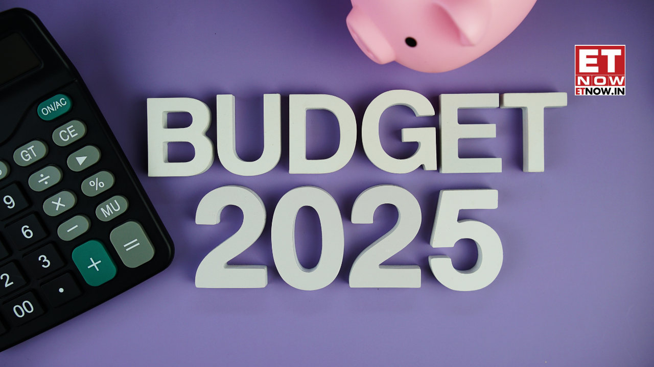 Union Budget 2025 Expectations What education sector wants from FM
