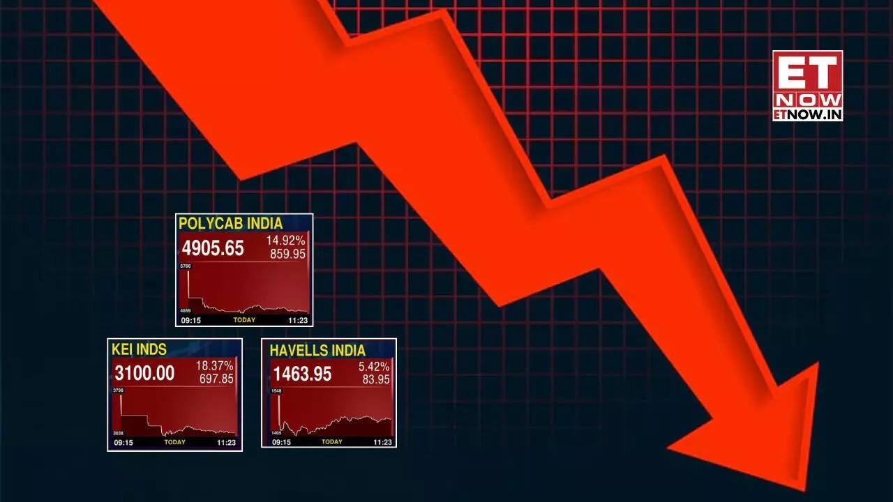 Polycab, KEI Industries, Havells shares crash up to 20%; here's why
